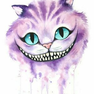 Meet your Posher, Bailey